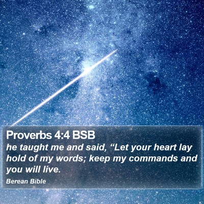 Proverbs 4:4 BSB Bible Verse Image