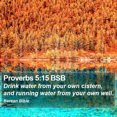 Proverbs 5:15 BSB Bible Verse Image