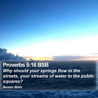 Proverbs 5:16 BSB Bible Verse Image