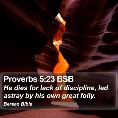 Proverbs 5:23 BSB Bible Verse Image