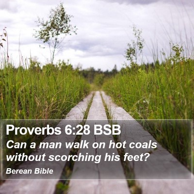 Proverbs 6:28 BSB Bible Verse Image