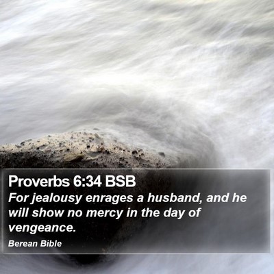 Proverbs 6:34 BSB Bible Verse Image