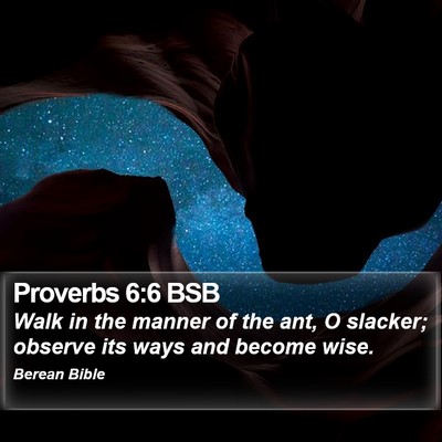 Proverbs 6:6 BSB Bible Verse Image