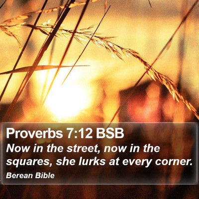 Proverbs 7:12 BSB Bible Verse Image