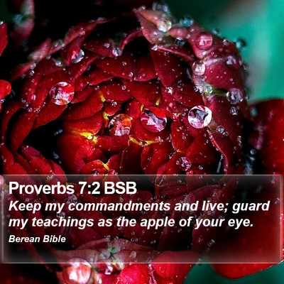 Proverbs 7:2 BSB Bible Verse Image