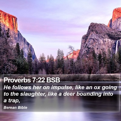 Proverbs 7:22 BSB Bible Verse Image