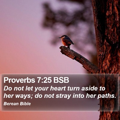 Proverbs 7:25 BSB Bible Verse Image