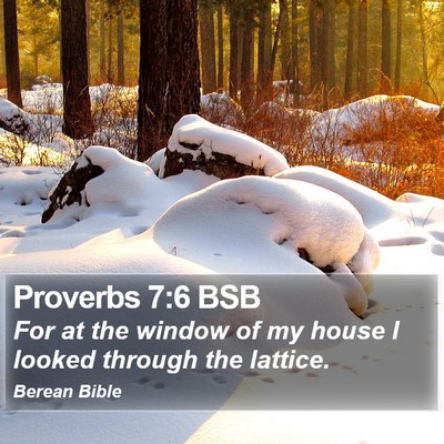 Proverbs 7:6 BSB Bible Verse Image
