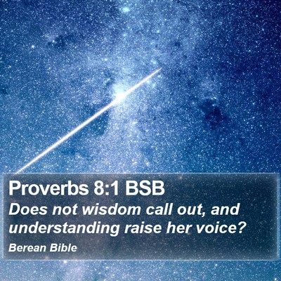 Proverbs 8:1 BSB Bible Verse Image