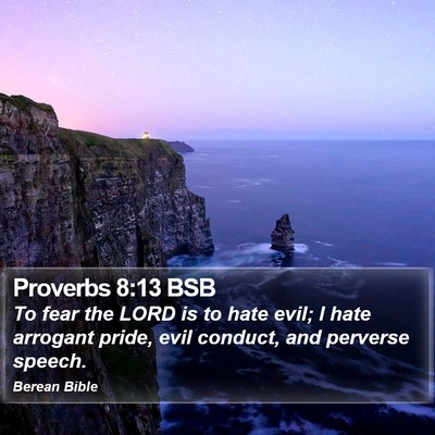 Proverbs 8:13 BSB Bible Verse Image