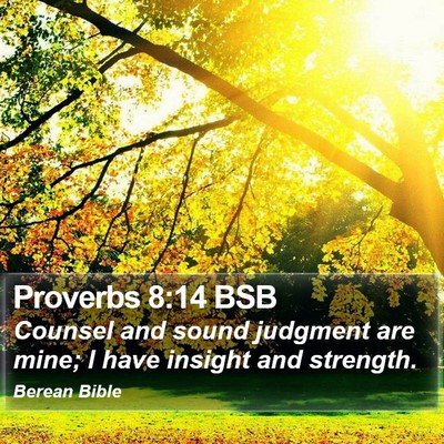 Proverbs 8:14 BSB Bible Verse Image
