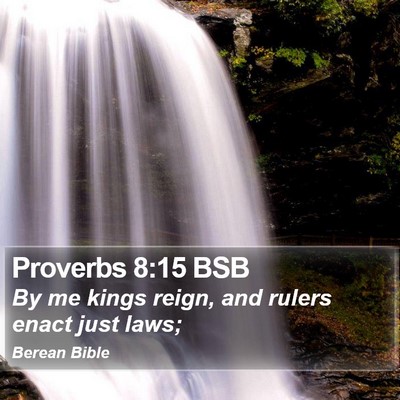 Proverbs 8:15 BSB Bible Verse Image
