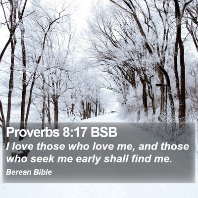 Proverbs 8:17 BSB Bible Verse Image