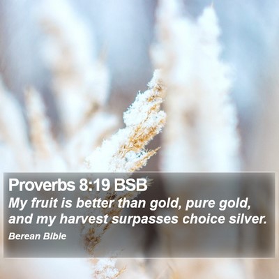 Proverbs 8:19 BSB Bible Verse Image