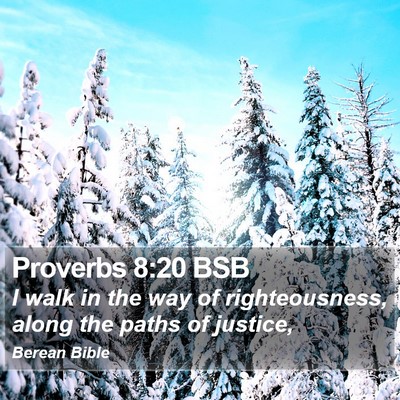 Proverbs 8:20 BSB Bible Verse Image
