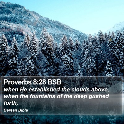 Proverbs 8:28 BSB Bible Verse Image