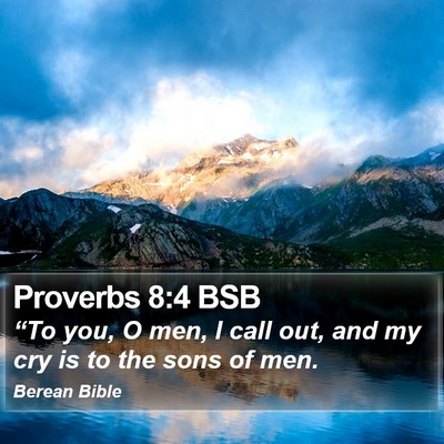 Proverbs 8:4 BSB Bible Verse Image