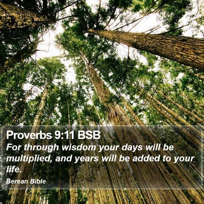 Proverbs 9:11 BSB Bible Verse Image