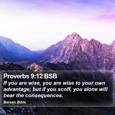 Proverbs 9:12 BSB Bible Verse Image