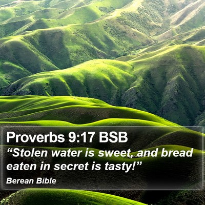 Proverbs 9:17 BSB Bible Verse Image