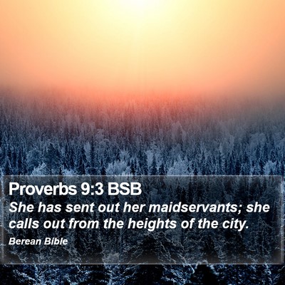 Proverbs 9:3 BSB Bible Verse Image