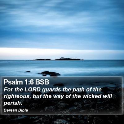 Psalm 1:6 BSB Bible Verse Image