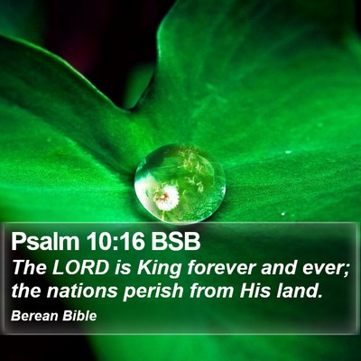 Psalm 10:16 BSB Bible Verse Image