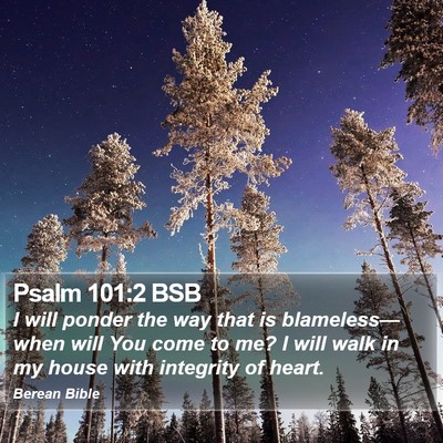 Psalm 101:2 BSB Bible Verse Image