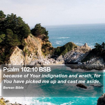 Psalm 102:10 BSB Bible Verse Image