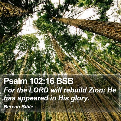 Psalm 102:16 BSB Bible Verse Image