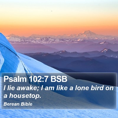 Psalm 102:7 BSB Bible Verse Image