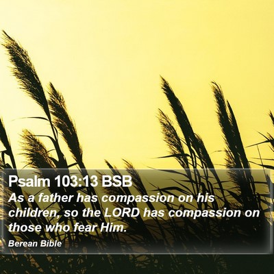 Psalm 103:13 BSB Bible Verse Image