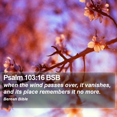 Psalm 103:16 BSB Bible Verse Image