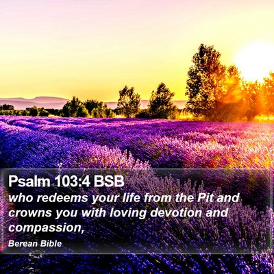 Psalm 103:4 BSB Bible Verse Image