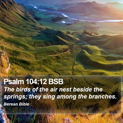Psalm 104:12 BSB Bible Verse Image