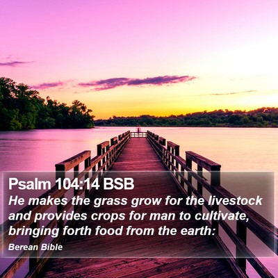 Psalm 104:14 BSB Bible Verse Image