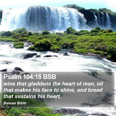 Psalm 104:15 BSB Bible Verse Image