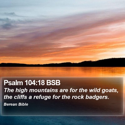 Psalm 104:18 BSB Bible Verse Image