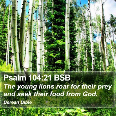 Psalm 104:21 BSB Bible Verse Image