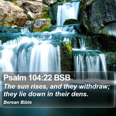 Psalm 104:22 BSB Bible Verse Image
