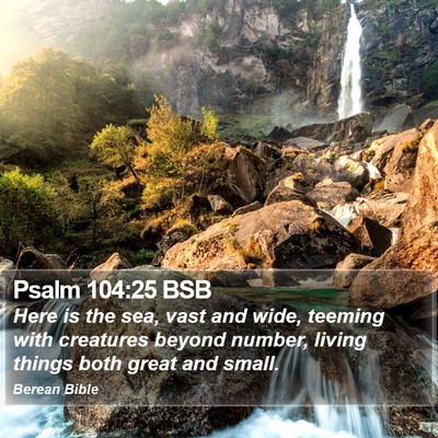 Psalm 104:25 BSB Bible Verse Image