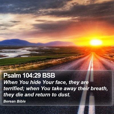 Psalm 104:29 BSB Bible Verse Image
