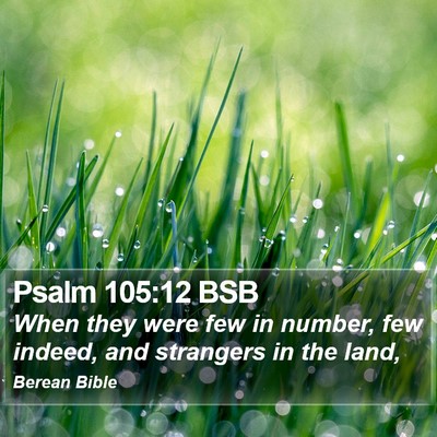 Psalm 105:12 BSB Bible Verse Image