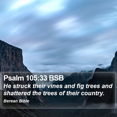 Psalm 105:33 BSB Bible Verse Image