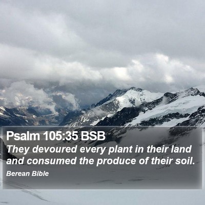 Psalm 105:35 BSB Bible Verse Image