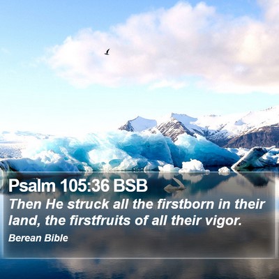 Psalm 105:36 BSB Bible Verse Image
