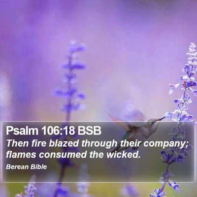 Psalm 106:18 BSB Bible Verse Image