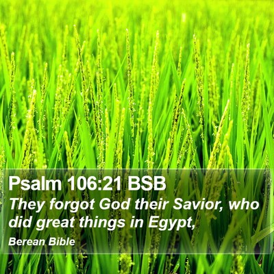 Psalm 106:21 BSB Bible Verse Image