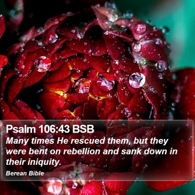 Psalm 106:43 BSB Bible Verse Image