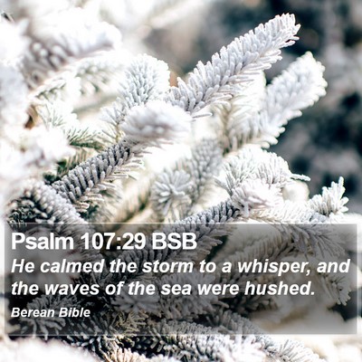 Psalm 107:29 BSB Bible Verse Image
